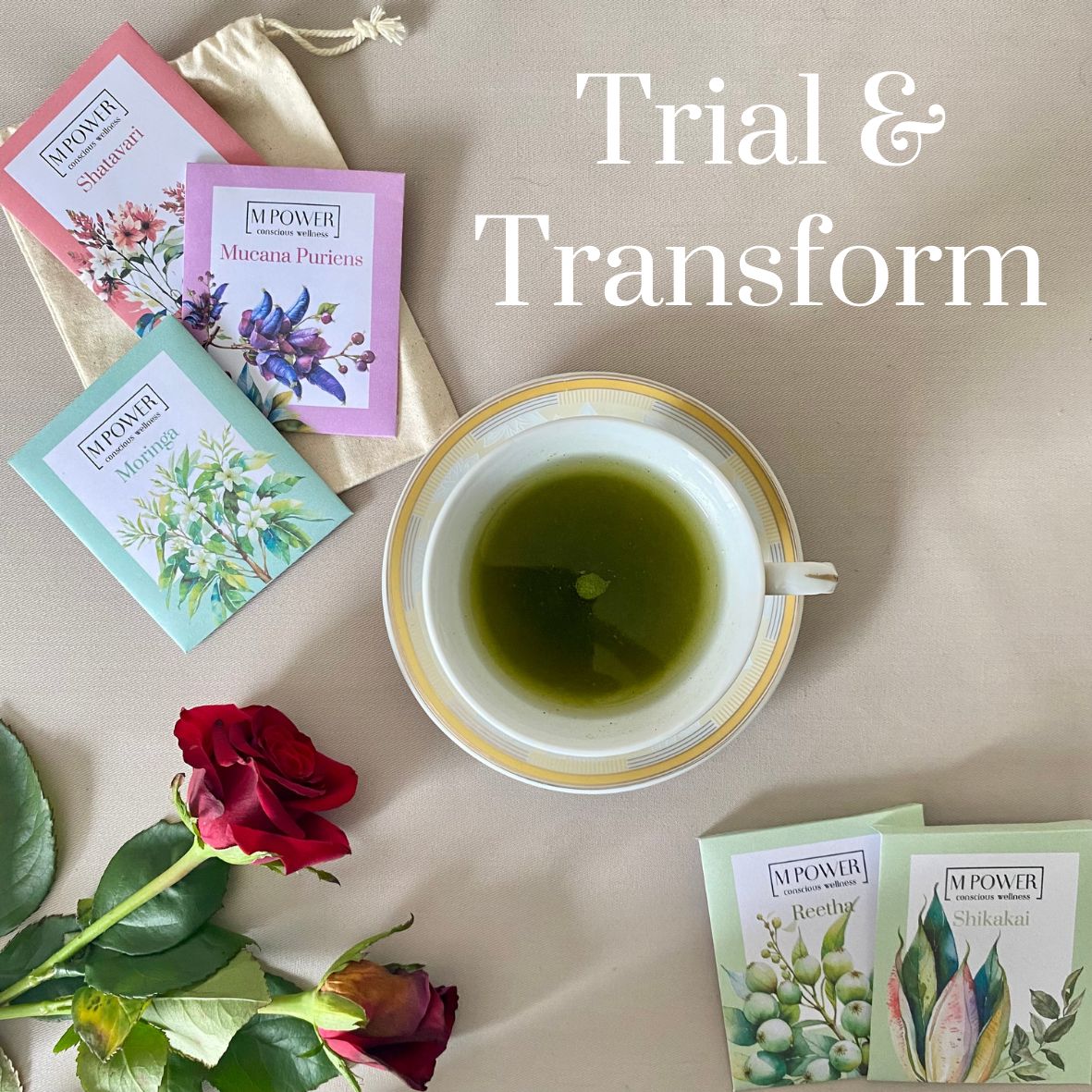 Trial & Transform